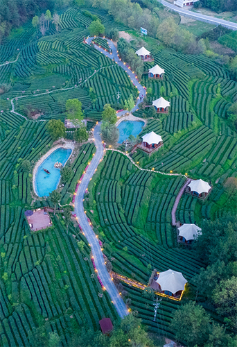 星空茶宿 >>

星空为幕

帐篷为营

在茶香中品味岁月悠长