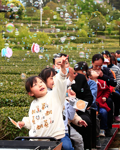 茶田小火车 >>

伴随着汽笛的声响和小朋友的欢声笑语

小火车缓缓开动

在约300米的环形轨道上徐徐前进

孩子们的笑声则久久回荡在茶园之间